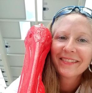 Meet your Posher, Sheri